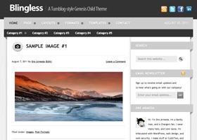 image of the Blingless theme for WordPress