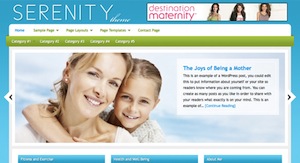 image of the Serenity theme for WordPress