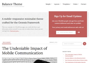 image of the Balance theme for WordPress