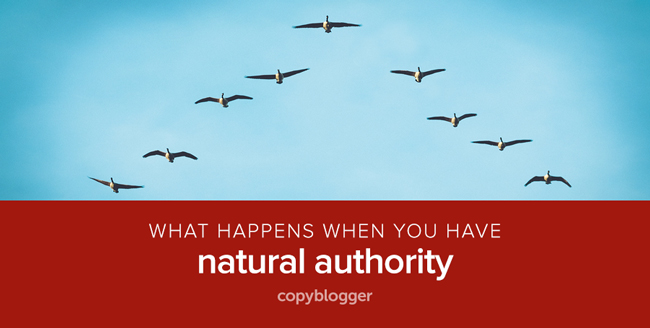 4 Reasons Natural Authority Rocks and 4 Ways to Build It