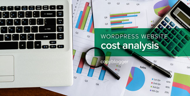 What Is the True Cost of Building and Managing a WordPress Website?