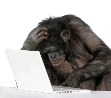 5 Grammar Mistakes that Make You Sound Like a Chimp