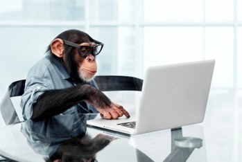 Beware of Monkeys: Digital Marketing Talent