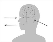 Why Targeting Selective Perception Captures Immediate Attention