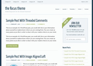 image of the focus theme for WordPress
