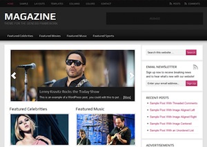 image of the magazine theme for WordPress