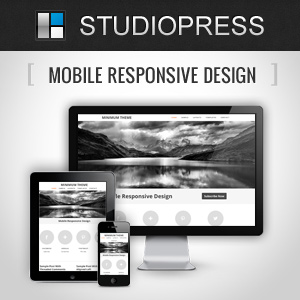 How to Build a Mobile Responsive Website With WordPress