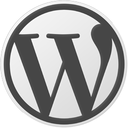 7 Essential Tips for WordPress Beginners