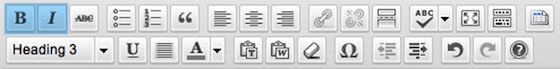 image of wordpress formatting bar