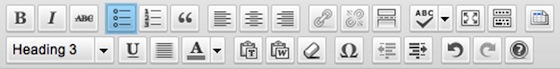 image of wordpress formatting bar
