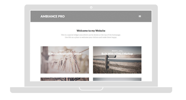 ambiance-pro-theme