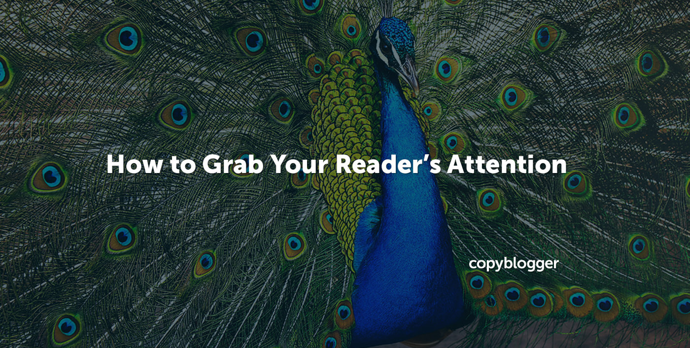 Gone Fishing: How to Hook Readers with a Better Book Description