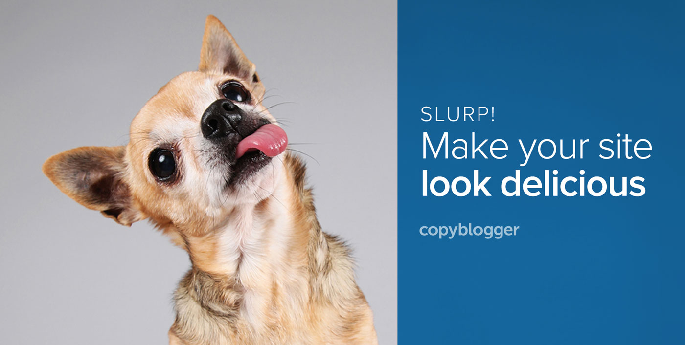 6 Website Design Tips that Will Have Your Audience Licking Their Screens