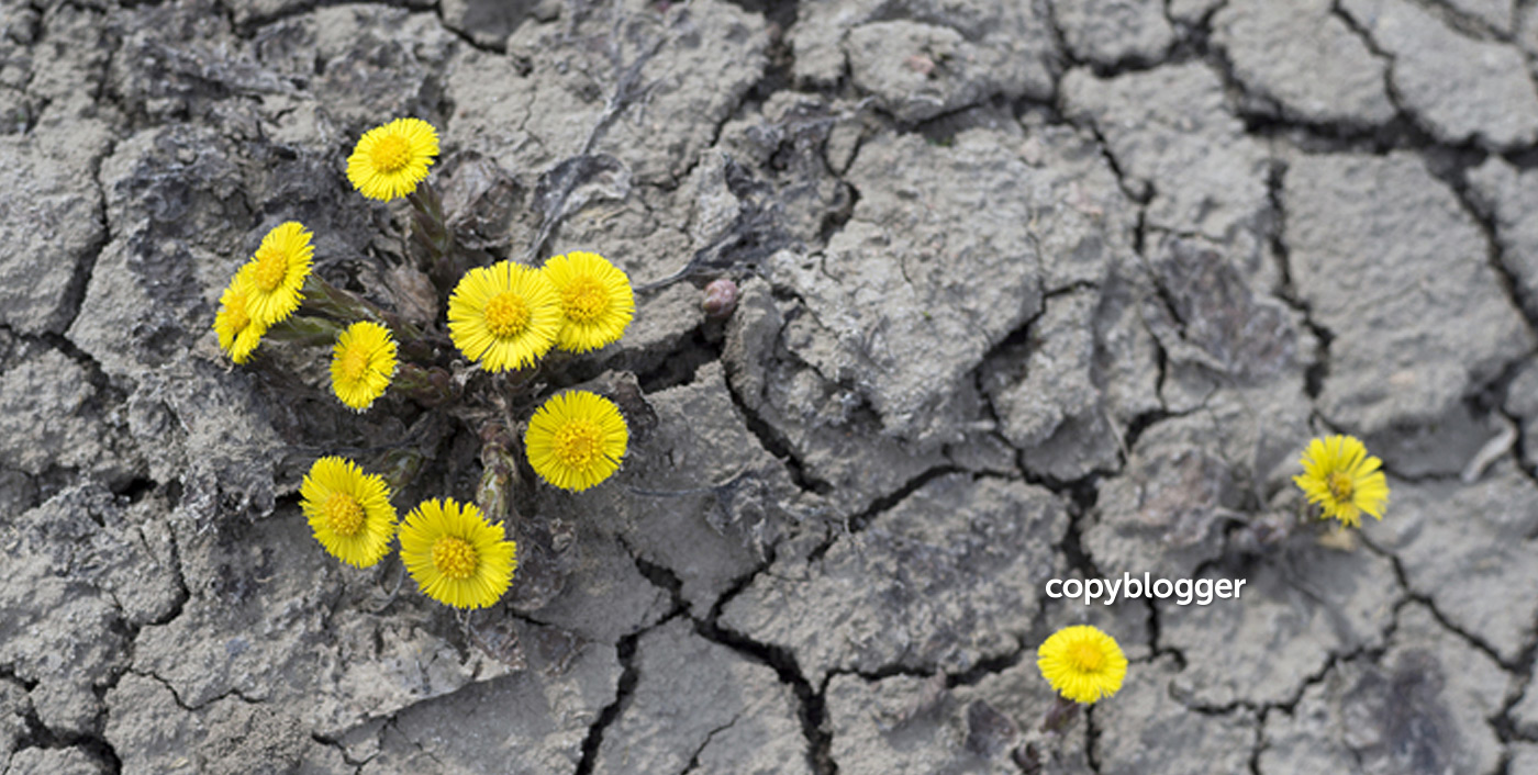 On Dying, Mothers, and Fighting for Your Ideas - Copyblogger