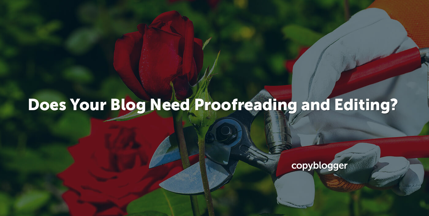 Does Your Blog Need Proofreading and Editing?
