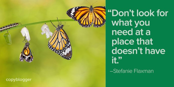 "Don’t look for what you need at a place that doesn’t have it." – Stefanie Flaxman