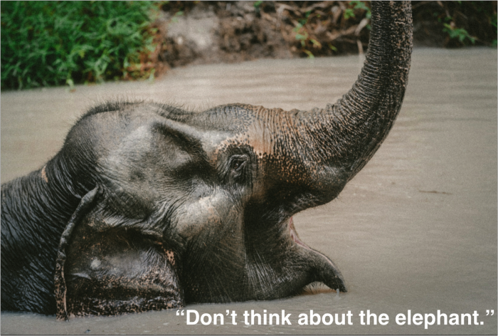 Não pense no elefante. A sério, não pense nisso.